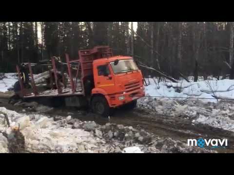 Видео: Делаем  дорогу в делянку  на ТДТ-55 и  Камаз  43118. День 2