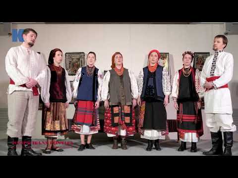 Видео: Я птичка-невеличка