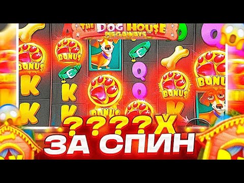 Видео: ЗАКРЫЛ ОГРОМНУЮ ПОЛЯНУ ТОПОВ В THE DOG HOUSE MEGAWAYS!!! СЛОВИЛ ????х ЗА СПИН!!!