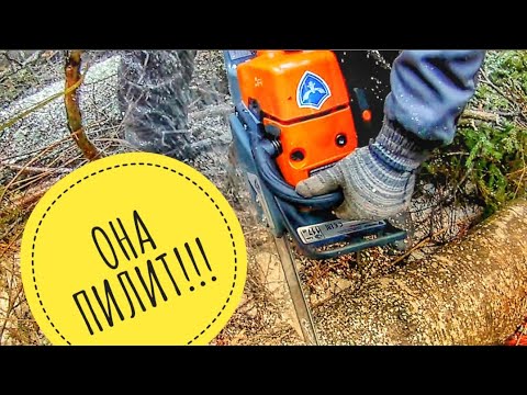 Видео: Бензопила Holzfforma G366 клон Stihl MS361 // Подводим итог первого дня испытаний в лесу 🌲