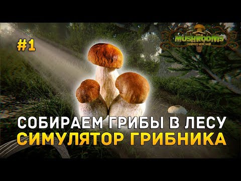 Видео: Mushrooms: Forest Walker #1 - Собираем грибы в лесу. Симулятор грибника (Первый Взгляд)