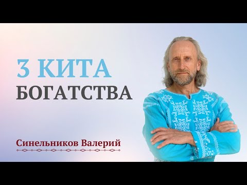 Видео: Можно ли жить без денег? 3 Кита богатства/ Валерий Синельников