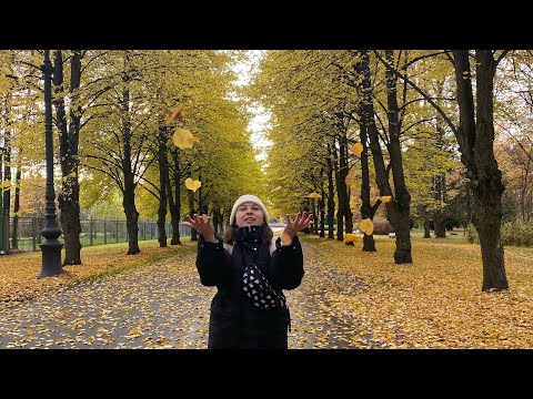 Видео: 46. Питер - Мой любимый город. Крестовский остров, покупки, work 