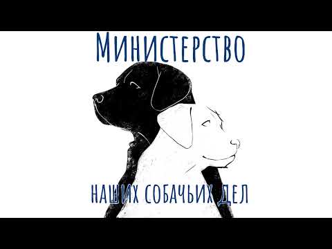 Видео: #2: Какие собаки становятся поводырями