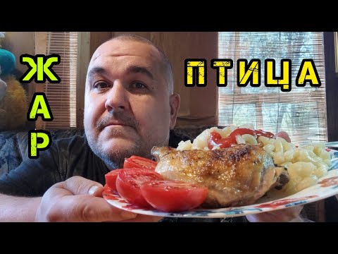 Видео: Обжор - окорочок с макарохами и томатами