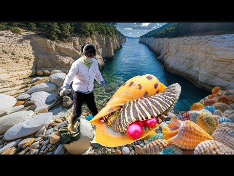 Видео: Гигантские жемчужные улитки папайи появились в кучах. Большое количество жемчужных устриц