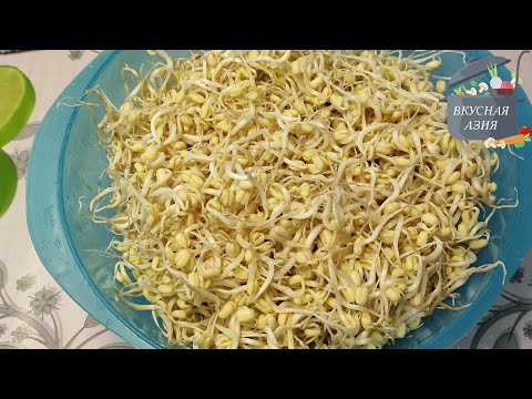 Видео: Как прорастить маш в домашних условиях/How to germinate mung bean at home.