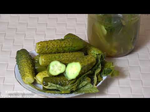Видео: ТЕПЕРЬ ТАКИЕ МАЛОСОЛЬНЫЕ ОГУРЦЫ ВЫ БУДЕТЕ ГОТОВИТЬ ВСЕГДА!ПРОСТОЙ И БЫСТРЫЙ РЕЦЕПТ!