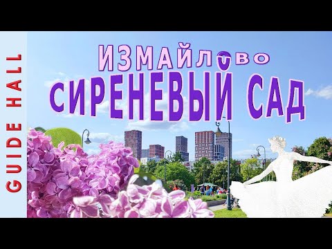 Видео: СИРЕНЕВЫЙ САД В ИЗМАЙЛОВО, МОСКВА - сорта, история, мечта. Шикарный бесплатный парк сортовой сирени!