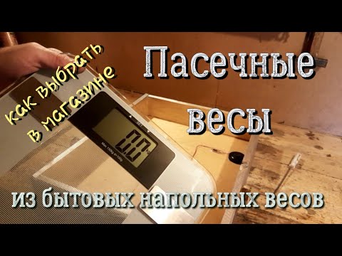 Видео: Пасечные весы