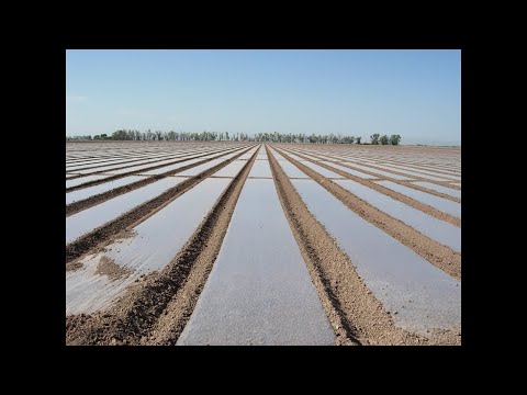 Видео: (Био)Соларизация – Предимства и недостатъци