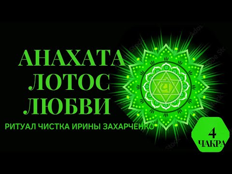 Видео: ЛОТОС ЛЮБВИ АНАХАТА. ИСЦЕЛЕНИЕ СЕРДЕЧНОГО ЦЕНТРА. РИТУАЛ ЧИСТКА СЕРДЕЧНОЙ ЧАКРЫ.