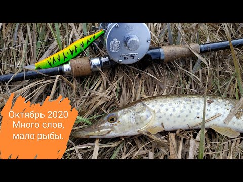 Видео: Октябрь 2020. Много слов, мало рыбы, часть 1.