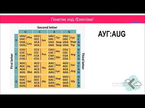 Видео: Уургийн нийлэгжил