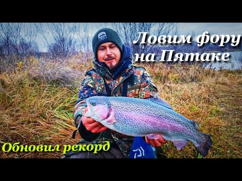 Видео: МАГОТ ЕЙ В РОТ! ОСЕННЯЯ ЛОВЛЯ ПРУДОВОЙ ФОРЕЛИ🍁🎣🔥🔥🔥