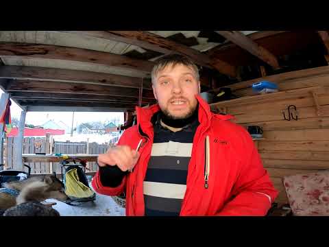 Видео: Рассказываю про Нарты, снаряжение, нагрузки для тренировки Хаски