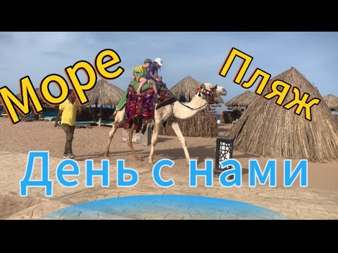 Видео: Египет март 2024 отель Aladdin Море Пляж  День с нами
