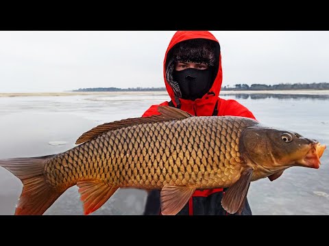 Видео: ТАК НЕ БЫВАЕТ! ПОПАЛИ НА ЖОР САЗАНА В ГЛУХОЗИМЬЕ! УДОЧКА В ДУГУ! Зимняя рыбалка 2023