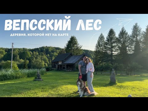 Видео: ВЕПССКИЙ ЛЕС | Живем в деревне, которой нет на карте | МАЯК на Онежском озере