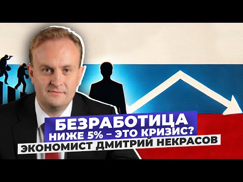 Видео: Дефицит кадров и низкая производительность труда. Экономист Дмитрий Некрасов