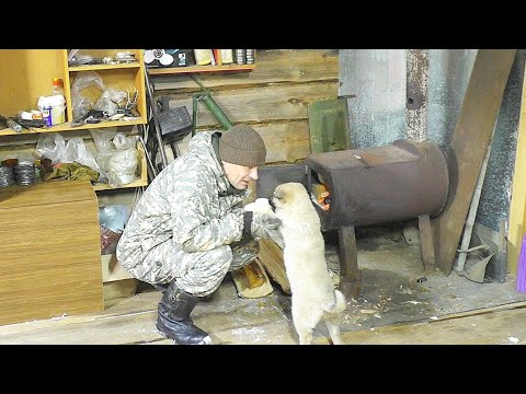 Видео: ОЧЕНЬ ПОЛЕЗНАЯ ШТУКА ДЛЯ ОХОТЫ И НЕ ТОЛЬКО / САМЫЙ ДЕШЁВЫЙ ТЕПЛОВИЗОР НА АНДРОИД Xinfrared T2 Pro.
