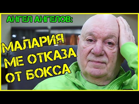 Видео: Славната история на БОКСОВАТА ЛЕГЕНДА Ангел Ангелов