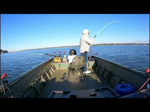 Видео: САМЫЙ ЭФФЕКТИВНЫЙ СПОСОБ ПОПОЙМАТЬ ГИГАНТСКОГО СОМА