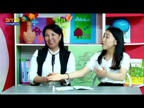 Видео: КАЙСЫ МЕКТЕП МЫКТЫ? №52 КЫРГЫЗ-ТҮРК ДОСТУГУ МЕКТЕП ЛИЦЕЙИБИ, ЖЕ №17 Ю.ГАГАРИН МЕКТЕП-ГИМНАЗИЯСЫБЫ?