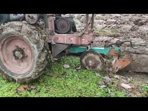 Видео: моя борьба с борщевиком 2024 ч1