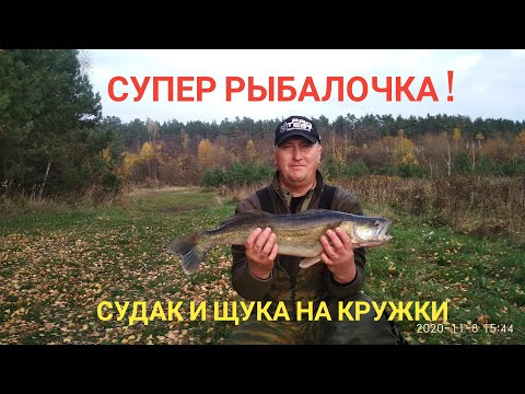 Видео: Ловля на Кружки Судак и Щука с Лодки на Кружки Осенью в Ноябре