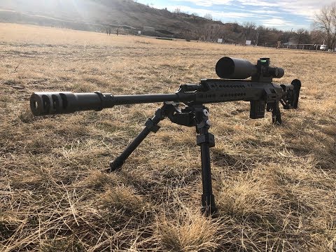 Видео: тигр в обвесе SAG (#тигрSAG финал)