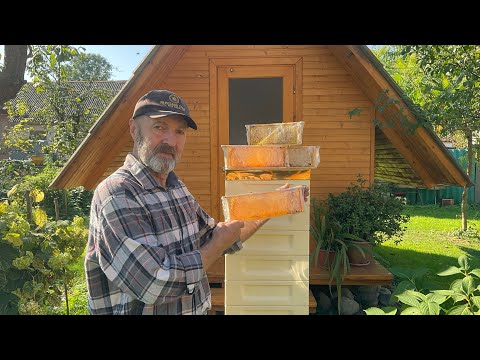 Видео: Альпійський вулик з ППУ (30.09.2023 р.)