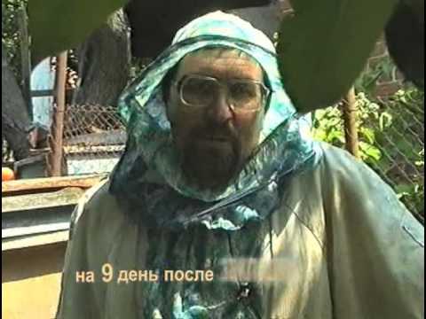 Видео: Сны пчел. Энциклопедия пчеловодства Фильм 2. Сны летние