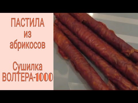 Видео: Пастила из АБРИКОСОВ | Сушилка Волтера 1000 Люкс
