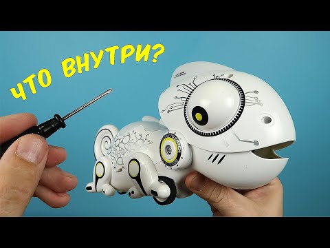 Видео: ЧТО ВНУТРИ РОБОТА ХАМЕЛЕОНА?