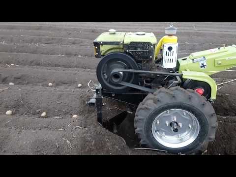 Видео: Посадка картофеля сезон 2020. Где должны быть окучники у мотоблока??