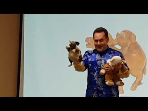 Видео: Год Крысы #1 Почему