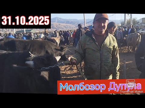 Видео: Молбозор Дупула Шахрий Панҷакент 31.10.2025 Тоҷикистон