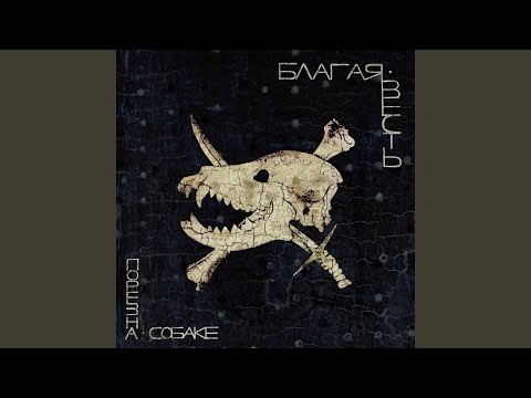 Видео: Лица