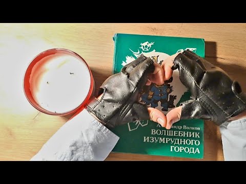 Видео: ASMR Чтение шепотом "Волшебник Изумрудного города" ч.5✨️