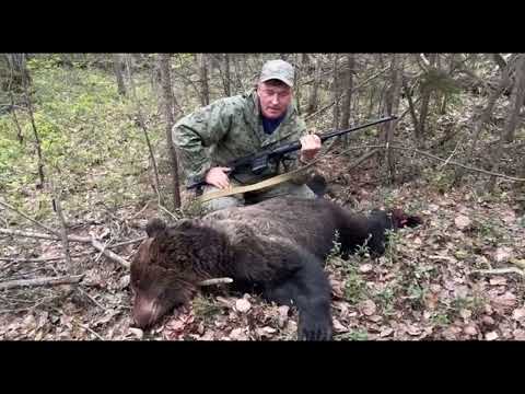 Видео: Охота на медведя с Викторовичем