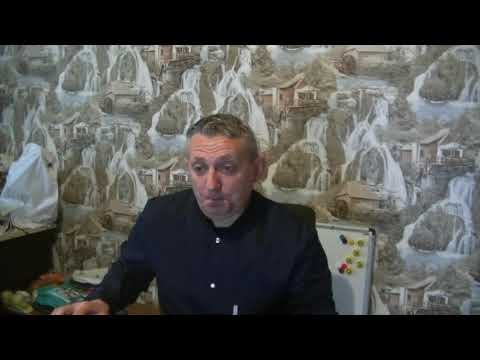 Видео: Ответы ветврача орнитолога на вопросы марта и апреля.