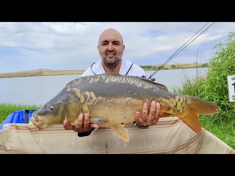 Видео: 🎣 Метод Фидер Състезание 2025 – 3-ти кръг, яз. Прогрес | 22,5 кг улов и битка за финала!