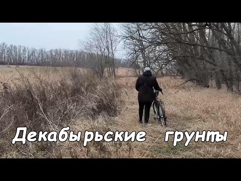 Видео: Забрели в дебри, сошли с маршрута.