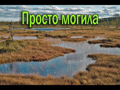 Видео: Просто могила. СТАЛКЕР ОНЛАЙН \ STALKER ONLINE \ STAY OUT