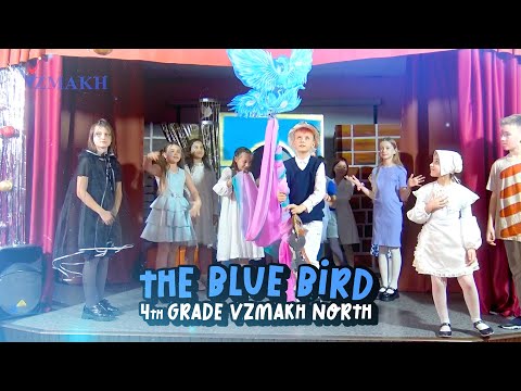 Видео: Частная школа «Взмах» англоязычный спектакль «Синяя птица», Взмах-Север, постановка 4-го класса