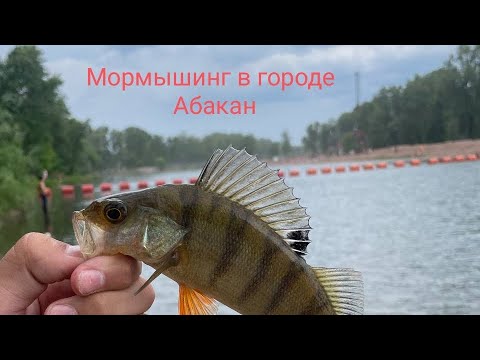 Видео: МОРМЫШИНГ В АБАКАНЕ. НАЛОВИЛ ОКУНЕЙ. ПРОШЕЛ ПО ДРЕНАМ 