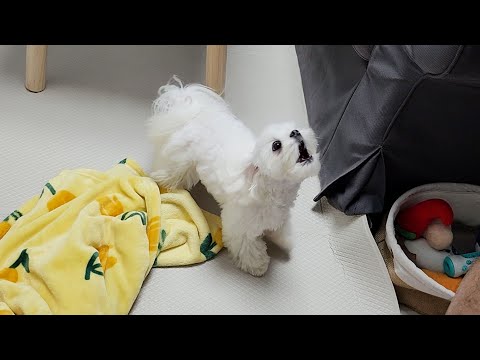 Видео: Он кормил и усыновил меня, а потом был вражеским начальНиком.