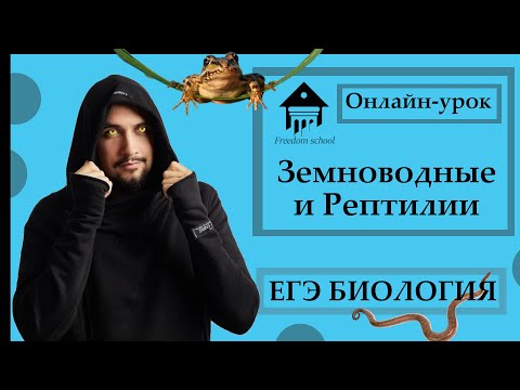 Видео: Земноводные и Рептилии для ЕГЭ 2023 |ЕГЭ БИОЛОГИЯ|Freedom|
