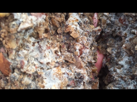 Видео: Как: JMS JADAM